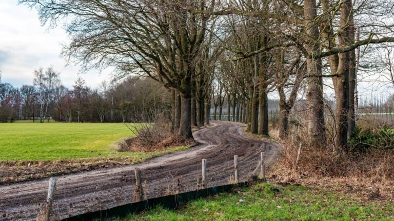 Foto-expositie in liempde zet zandpaden centraal — museum-expo in Boxtel