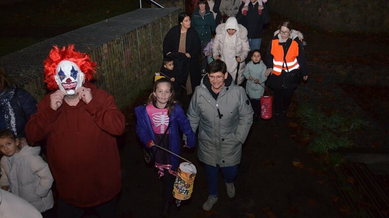 Lampionnenoptocht geitenwei — natuur in Boxtel