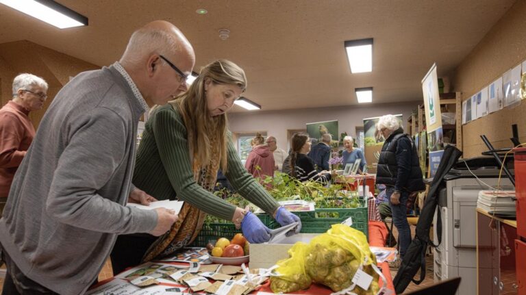 Klimaatmarkt — markt-eten in Boxtel