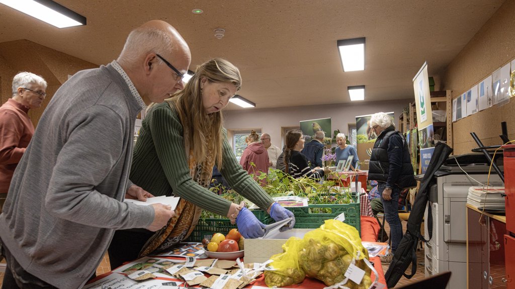 Klimaatmarkt in Boxtel