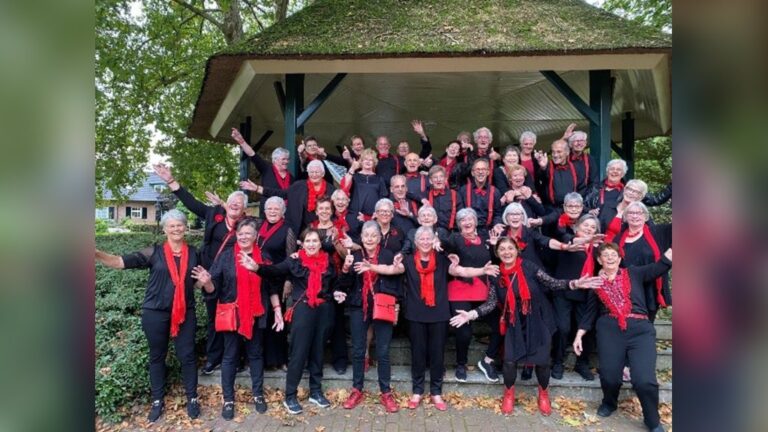 Optreden gimmes vocaal — muziek in Boxtel