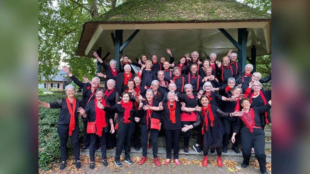 Optreden gimmes vocaal in Boxtel